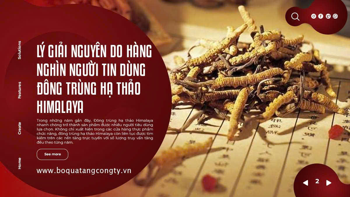 Lý Giải Nguyên Do Hàng Nghìn Người Tin Dùng Đông Trùng Hạ Thảo Himalaya