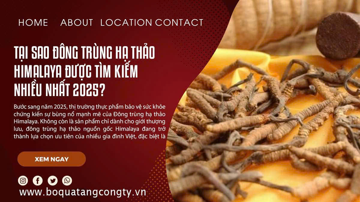 Tại Sao Đông Trùng Hạ Thảo Himalaya Được Tìm Kiếm Nhiều Nhất 2025?