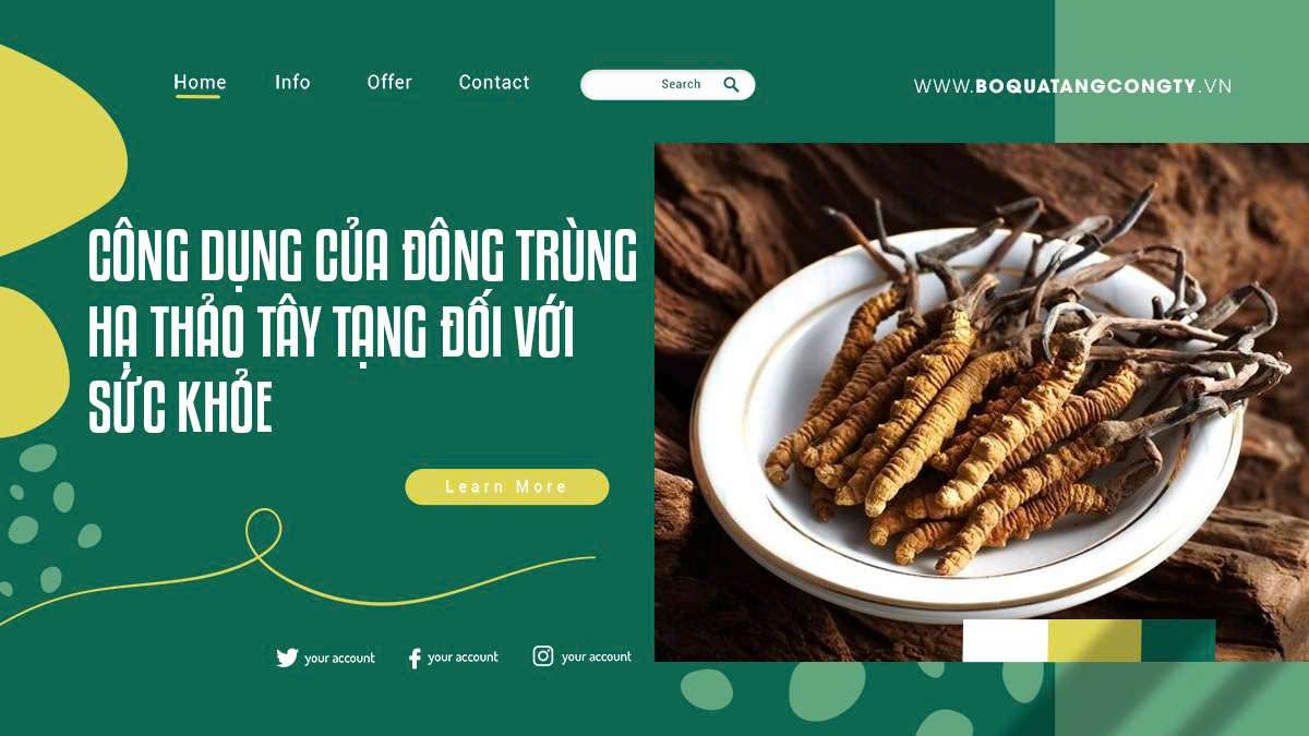 Công dụng của đông trùng hạ thảo Tây Tạng đối với sức khỏe