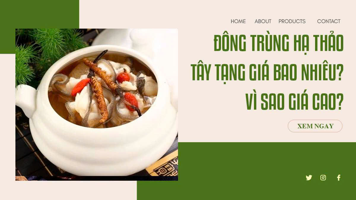 Đông trùng hạ thảo Tây Tạng giá bao nhiêu? Vì sao giá cao?