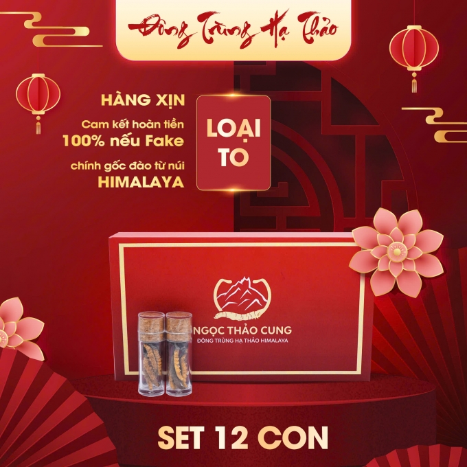 Set 12 Con Đông Trùng Hạ Thảo (Loại To 10gr ~ 30 con)