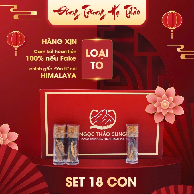 Set 18 Con Đông Trùng Hạ Thảo (Loại To 10gr ~ 30 con)