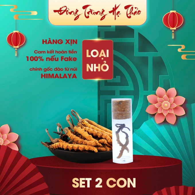 Set 2 Con Đông Trùng Hạ Thảo (Loại Nhỏ 10gr ~ 50 con)