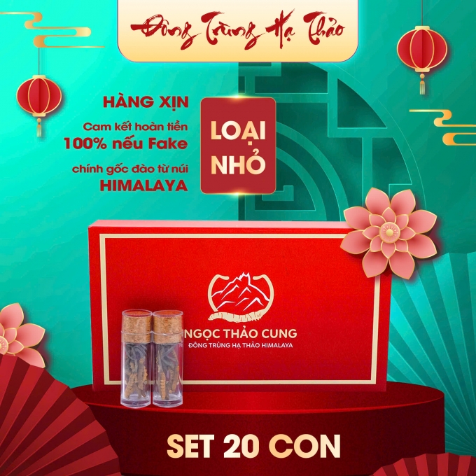 Set 20 Con Đông Trùng Hạ Thảo (Loại Nhỏ 10gr ~ 50 con)