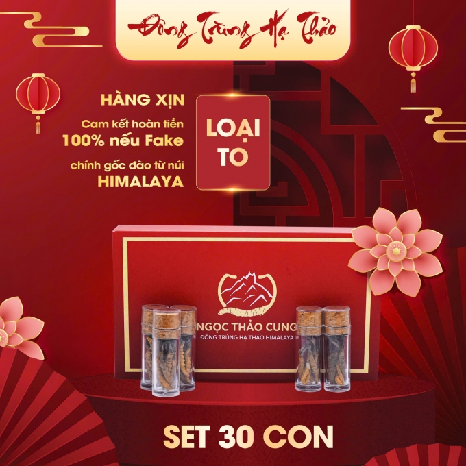 Set 30 Con Đông Trùng Hạ Thảo (Loại To 10gr ~ 30 con)