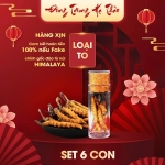 Set 6 Con Đông Trùng Hạ Thảo (Loại To 10gr ~ 30 con)