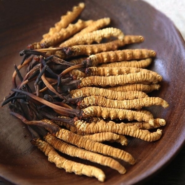 Cách Bảo Quản Đông Trùng Hạ Thảo Tây Tạng Giữ Nguyên Giá Trị Tự...