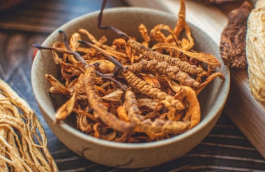 Cách Nhận Biết Đông Trùng Hạ Thảo Tây Tạng Thật Giả Chỉ Trong 1 Phút