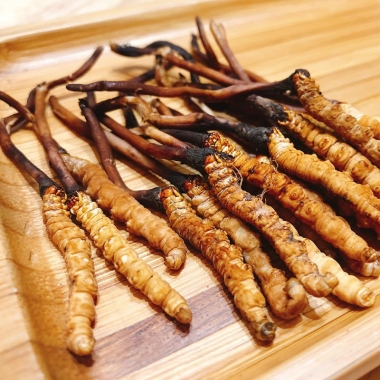 Đông trùng hạ thảo sấy khô nguyên con là gì? Nguồn gốc, đặc điểm...