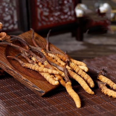 Đông Trùng Tây Tạng Trong Y Học Cổ Truyền: Những Ghi Chép Có Từ Thế...