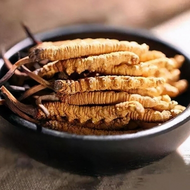 Đông Trùng Tây Tạng Từ Lều Trại Trên Núi Đến Thị Trường Triệu Đô