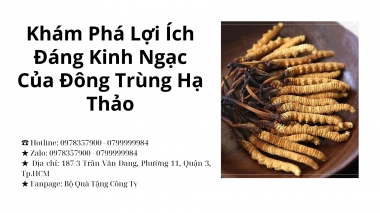 Khám Phá Lợi Ích Đáng Kinh Ngạc Của Đông Trùng Hạ Thảo