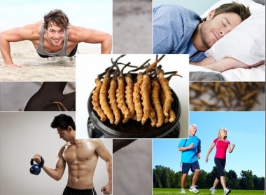 Lý Do Thị Trường Không Còn Xem Đông Trùng Hạ Thảo Himalaya Là Hiếm?