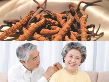 Quà Tặng Người Cao Tuổi: Đông Trùng Hạ Thảo Có Phải Lựa Chọn Hàng...