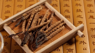 Review Chi Tiết Đông Trùng Hạ Thảo Himalaya – Thần Dược Tăng Sức Đề...