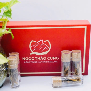 Set 10 Con Đông Trùng Hạ Thảo (Loại Nhỏ 10gr ~ 50 con)