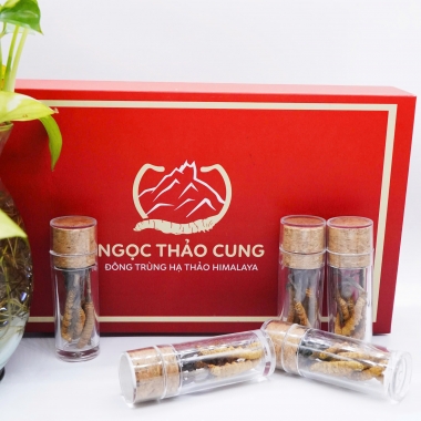 Set 3 Con Đông Trùng Hạ Thảo (Loại To 10gr ~ 30 con)