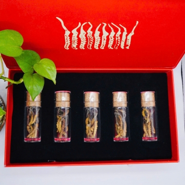 Set 50 Con Đông Trùng Hạ Thảo (Loại Nhỏ 10gr ~ 50 con)