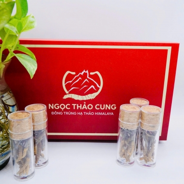 Set 50 Con Đông Trùng Hạ Thảo (Loại Nhỏ 10gr ~ 50 con)