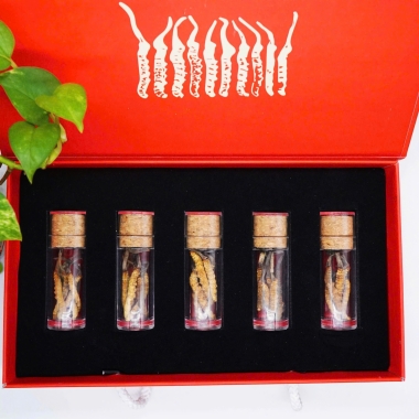 Tác dụng phụ của đông trùng hạ thảo. Ai nên và không nên sử dụng?